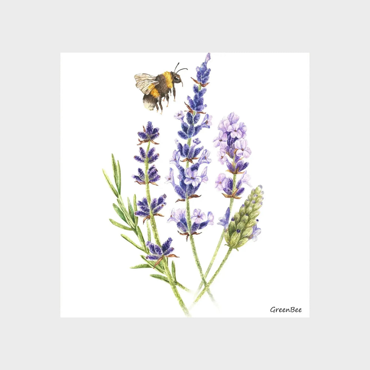 Lavender Swedish Dishcloth | Reusable Paper Towels | Kitchen